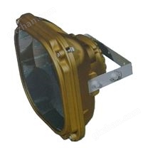 GSD1130免維護(hù)節(jié)能防爆泛光燈